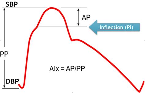 Sex Differences In Diagnostic Modalities Of Atherosclerosis In The Macrocirculation