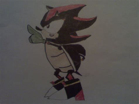 Shell Shadow by sonicfan40 on DeviantArt