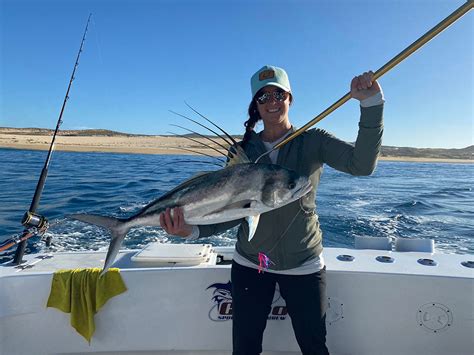 Cabo Fishing Seasons: The Complete Guide (Updated 2023)