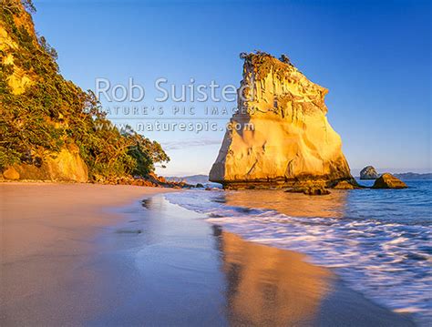 Cathedral Cove At Sunrise Hahei Coromandel Peninsula Thames