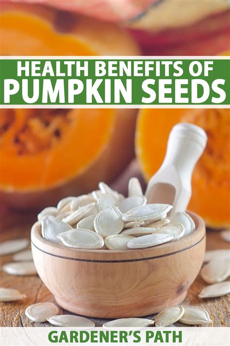 Pumpkin Seeds Nutrition And Health Benefits Gardeners Path