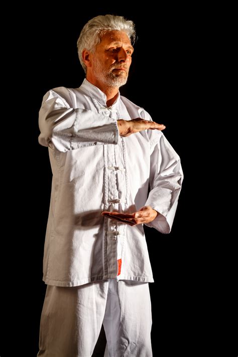 tai chi posture  stock photo public domain pictures