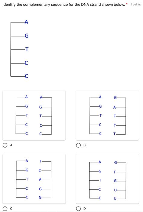 Solved Identify the complementary sequence for the DNA | Chegg.com