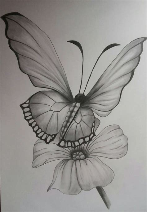 Dibujos Faciles A Lapiz De Mariposas Images And Photos Finder