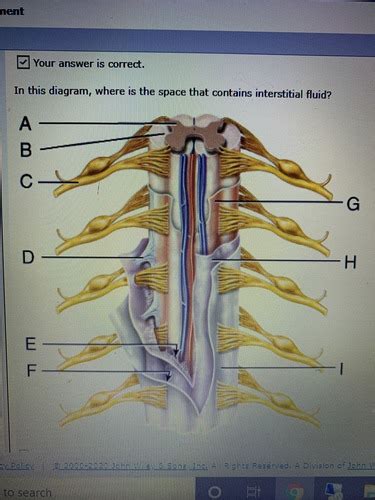 Chapter Flashcards Quizlet