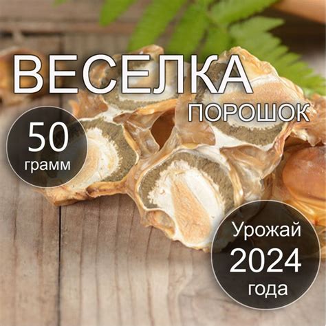 Веселка 50 г Сбор 2024 Россия Порошок сушеного плодового тела гриба ...