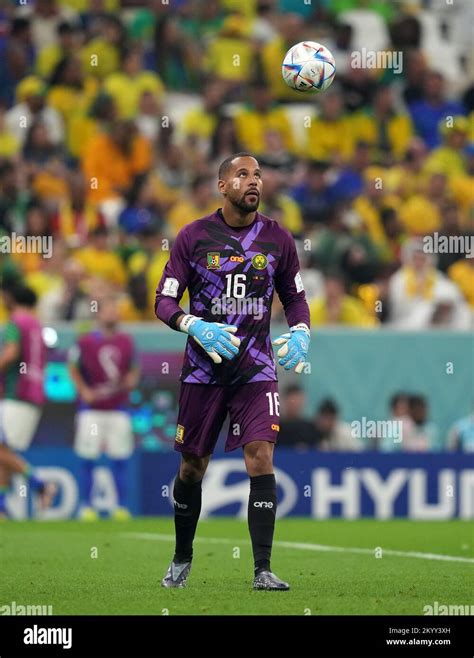 Cameroon Goalkeeper Devis Epassy During The Fifa World Cup Group G