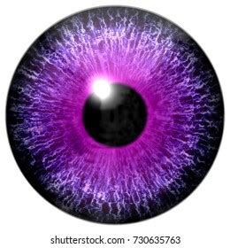 digital eye stock illustration  shutterstock