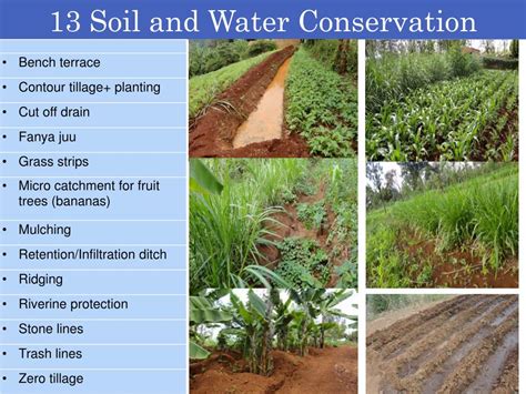 PPT - Costs and Benefits of Soil and Water Conservation in farmland ...