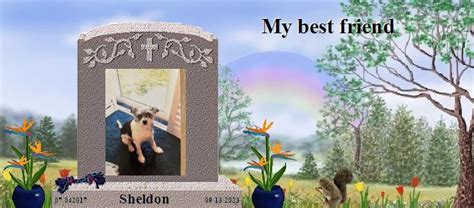 Sheldon S Rainbow Bridge Pet Loss Memorial