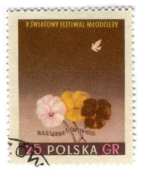 Poland Postage Stamp 1955 Festival 25GR Pansies C 1955 Flickr