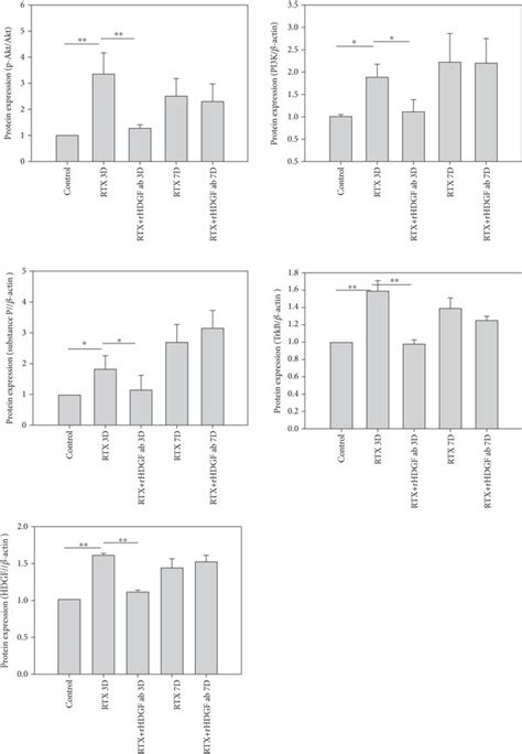 Effect Of Rhdgf Antibody On Expressions Of Hdgf P Akt Akt Pi K