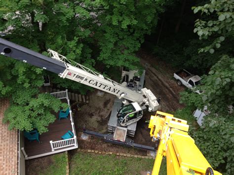 tree removal with crane 8