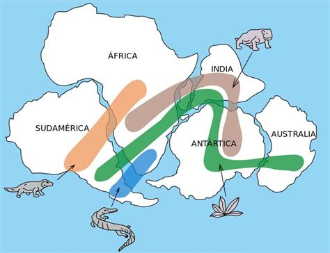 O Que É Deriva Continental - Deriva continental: o que é a teoria da deriva continental?
