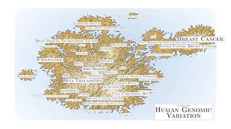 Human Genome Map