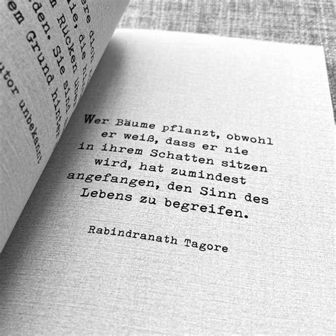 Der Letzte Idealist 2