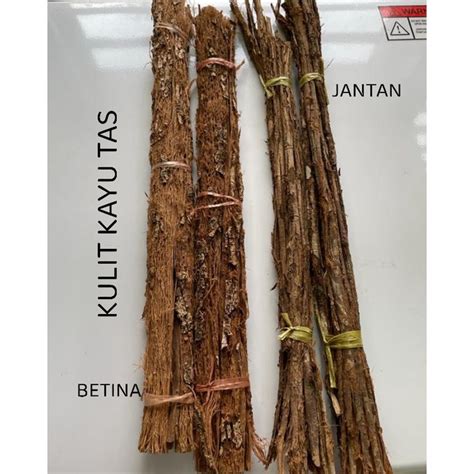 kayu tas original sarawak kayu hujan panas kayu penunduk shopee
