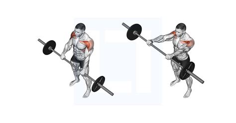 Barbell Front Raise - Guide, Benefits, and Form