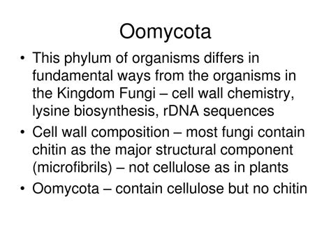 PPT - Oomycota PowerPoint Presentation, free download - ID:5534148