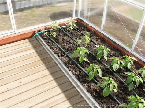 Капельный полив для теплицы ЗАВОД ТЕПЛИЦ РУ в СПб, купить теплицу из ...