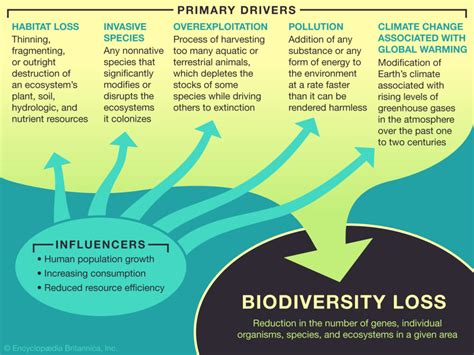 Biodiversity loss statistics 2024