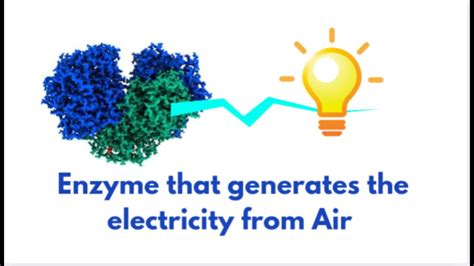 Enzyme That Generates The Electricity From Air Huc Enzyme GENEzole