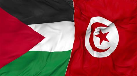 Palestine And Tunisia Flags Together Seamless Looping Background