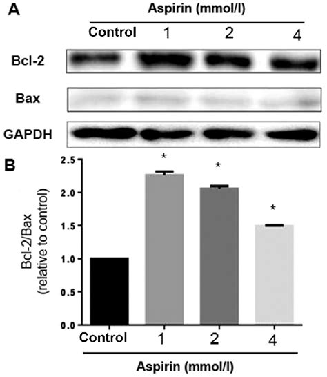 Effects Of Low Dose Aspirin On Expression Of Apoptosis Related Proteins