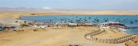 Top 5 Things To Do In Paracas Top Travel Sights