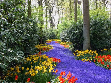 Springtime Backgrounds Movie Hd Wallpapers