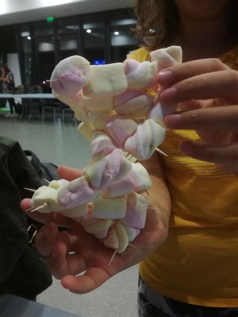 Team:Bulgaria/Human Practices - 2019.igem.org