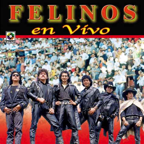 El Paso música e letra de Los Felinos Spotify