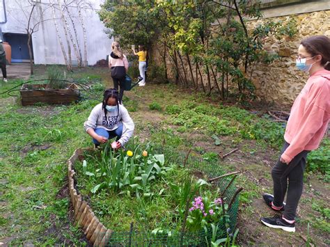 Avril au jardin Collège Gay Lussac