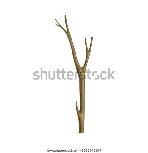 Bare Tree Branch Twigs Naked Stem Stock Vector Royalty Free Shutterstock