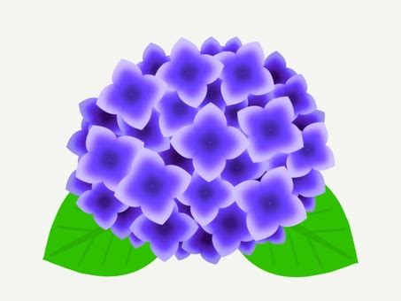紫陽花の花イラスト｜無料イラスト・フリー素材なら「イラストAC」