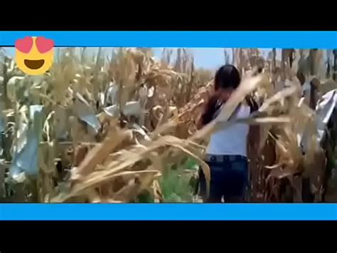 Ayesha Takia Boobs Bouncing XVIDEOS