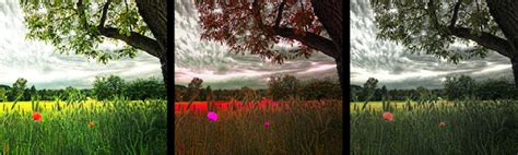Innovative Second Life Second Life Photography Tips And Tricks For