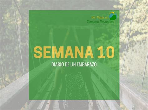 Diario De Un Embarazo Semana 10 Ser Papis En Tiempos Revueltos