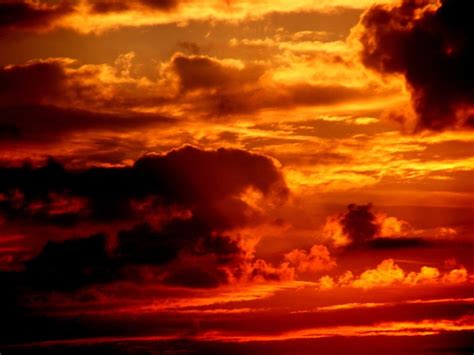 gorgeous sunset golden sky  image