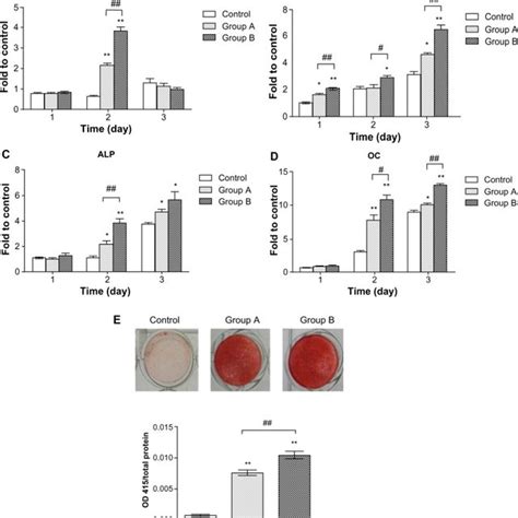 Effect Of Simplgahap Microspheres On Osteogenic Gene Expression And