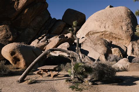 Gram Parsons' Joshua Tree legacy endures 50 years after he died - Los ...