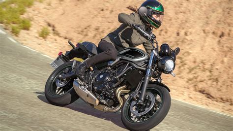 Affordable Naked Bikes Every Enthusiast Should Ride