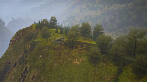 small green trees on hills in fog 6104598 Stock Video at Vecteezy