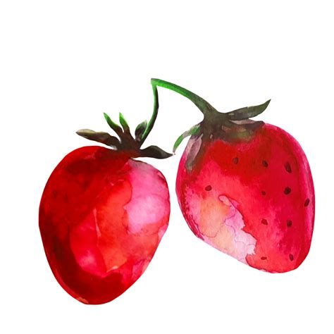 Strawberry Watercolor Illustration 10856478 Png