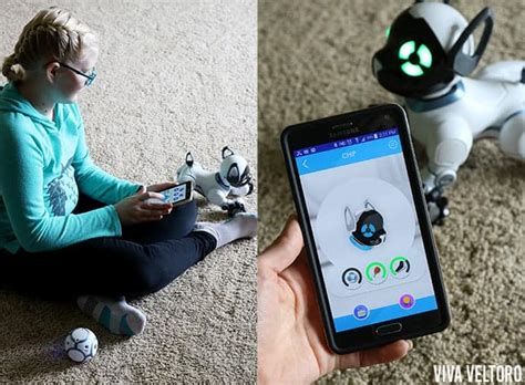 WowWee CHiP and COJI: the Hottest Robot Toys from Toys"R"Us