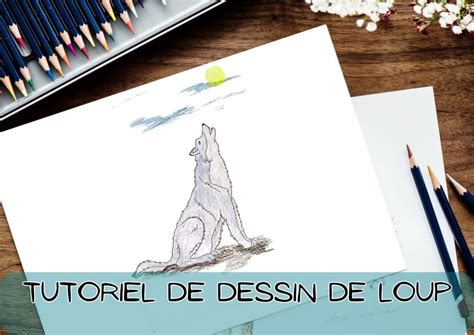 Comment Dessiner Un Loup Un Pas à Pas Comment Faire Mimi Panda