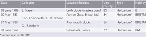 Past Records Of Eremopoa Persica In Great Britain Download Scientific