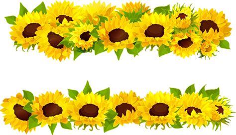 Sunflower border Vector Images & Graphics for Commercial Use | VectorStock