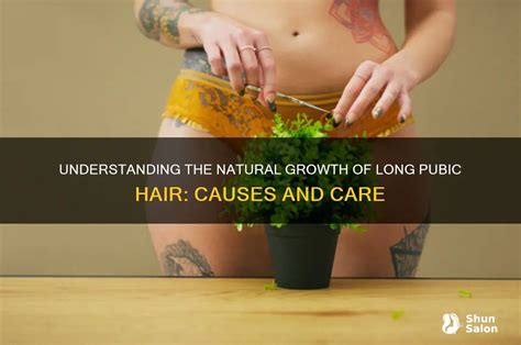 understanding  natural growth  long pubic hair   care
