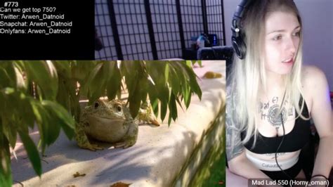 Animation Appreciation With Arwen Datnoid AltPorn Net Alt Porn Erotica